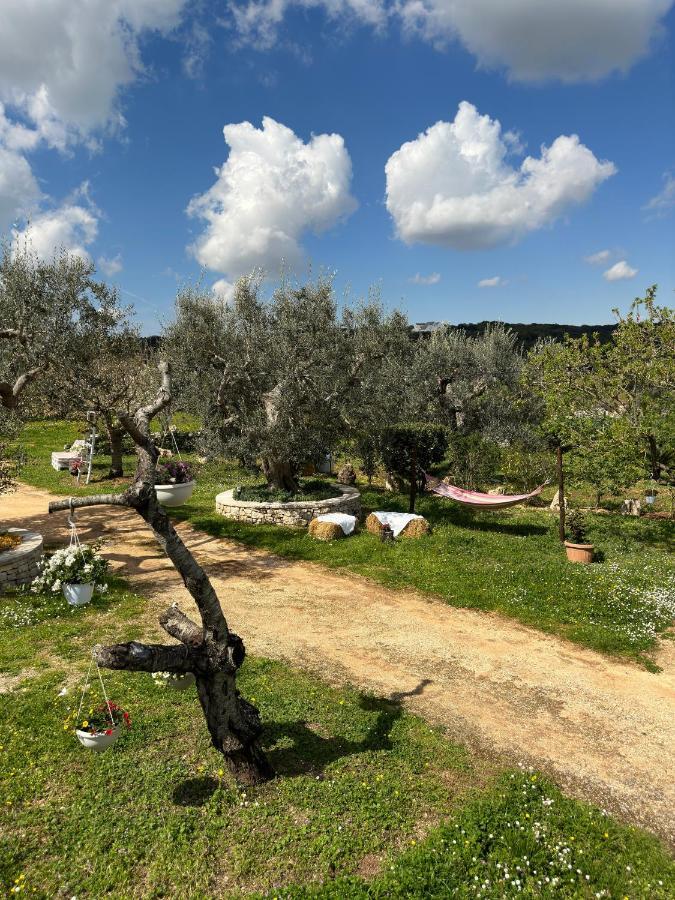 Trulli Barsento Guest House Alberobello Bagian luar foto