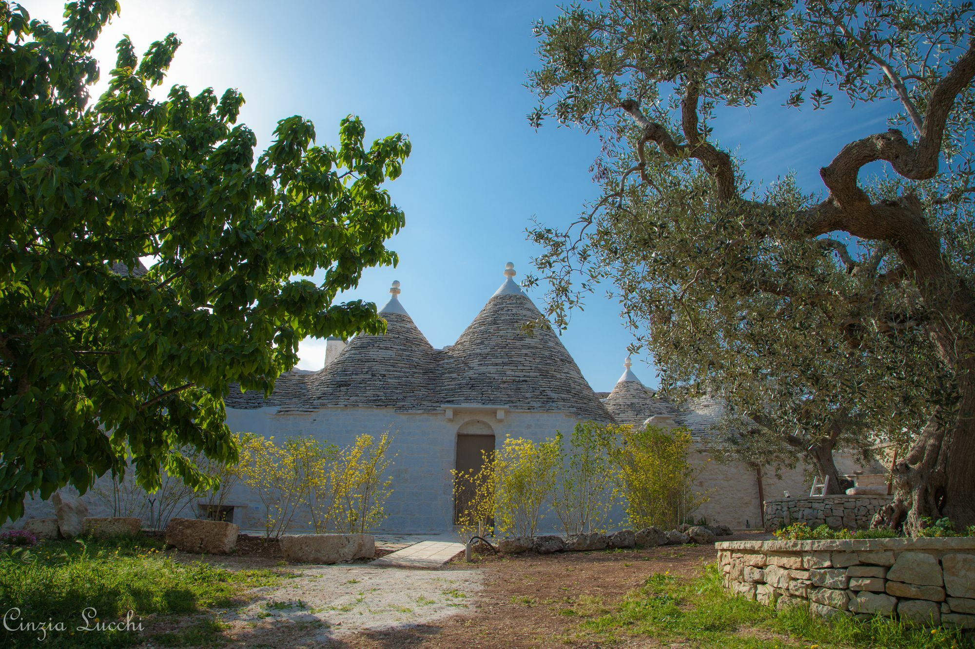Trulli Barsento Guest House Alberobello Bagian luar foto